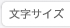 文字サイズ