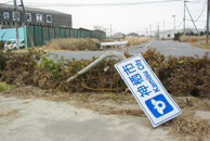 1面連載.bmp
