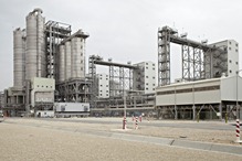細井＿ＳＡＢＩＣカヤン1.jpg