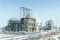 宇部タイＣＰＬ.jpg