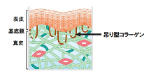 中尾1.png